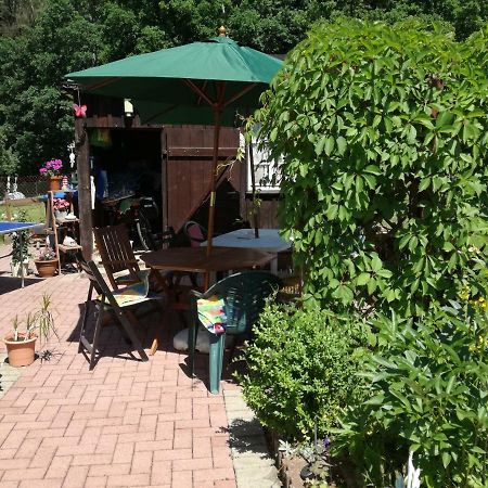 Tharandt Ferienwohnung Am Wald מראה חיצוני תמונה